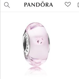 Set of 2 Pandora Murano Charm